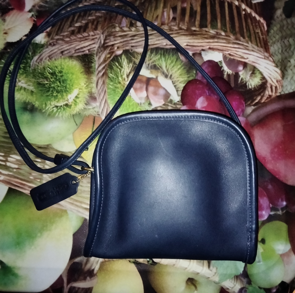 Coach Blue Leather Crossbody bag